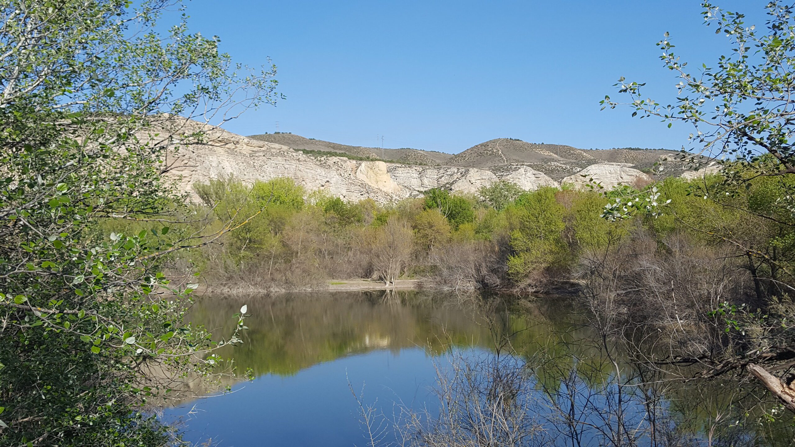 laguna galacho